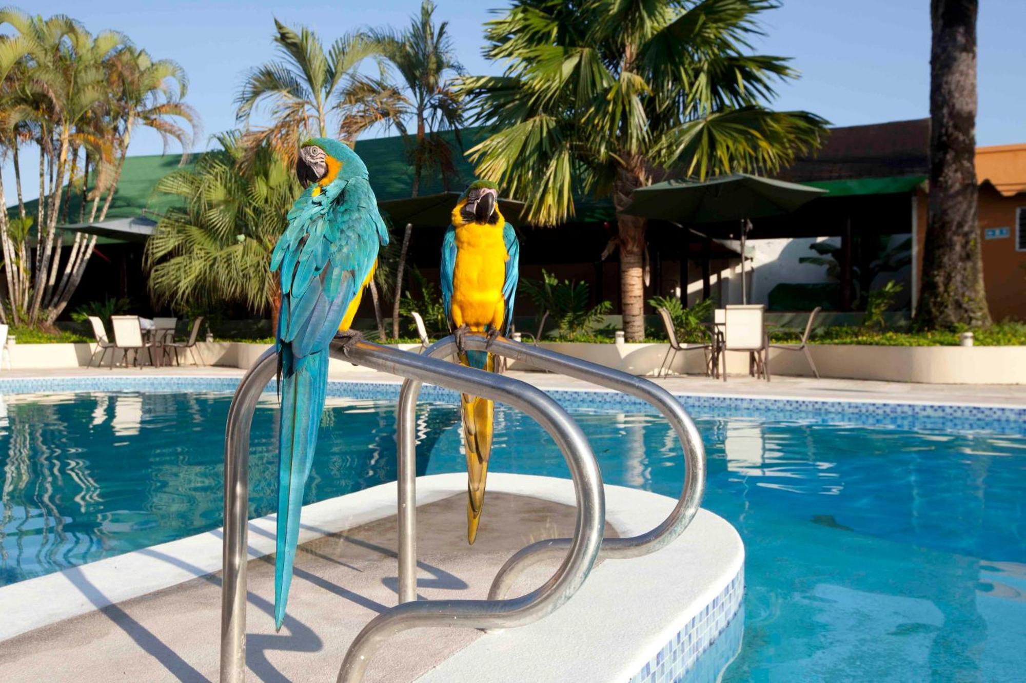 Hotel Anaconda Leticia Exterior photo